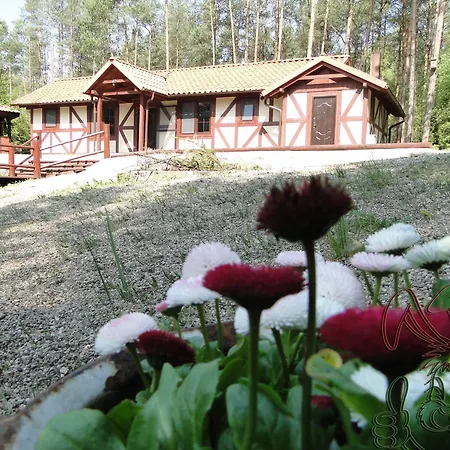 Dom Nad Stawem - Alex Dom wakacyjny Stara Kiszewa