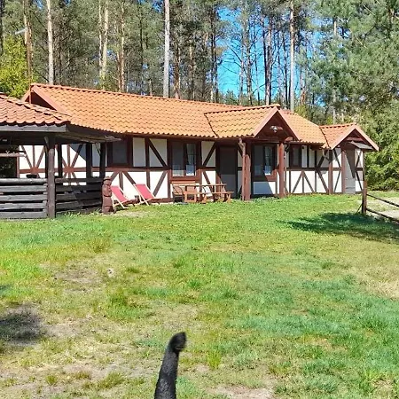 Dom Nad Stawem - Alex Дом отдыха Stara Kiszewa