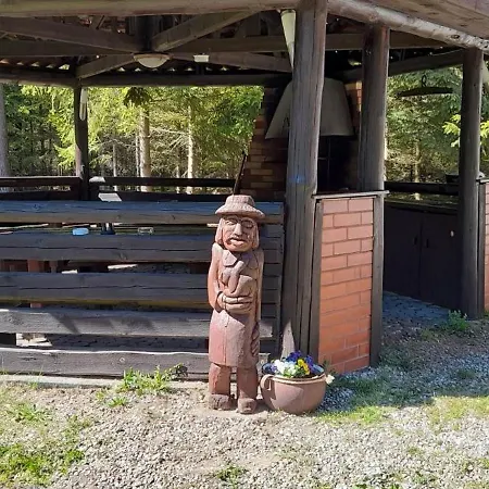 Dom wakacyjny Dom Nad Stawem - Alex