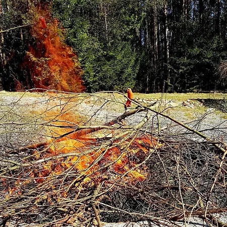 Dom Nad Stawem - Alex