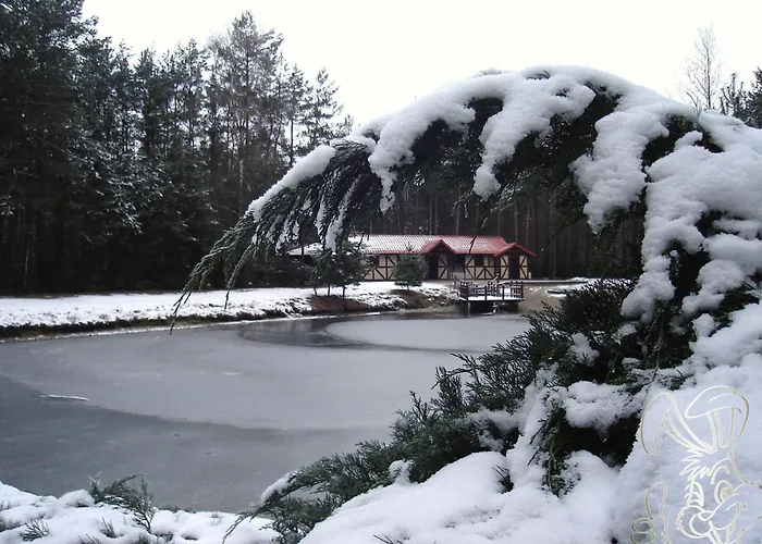 Dom Nad Stawem - Alex * Stara Kiszewa