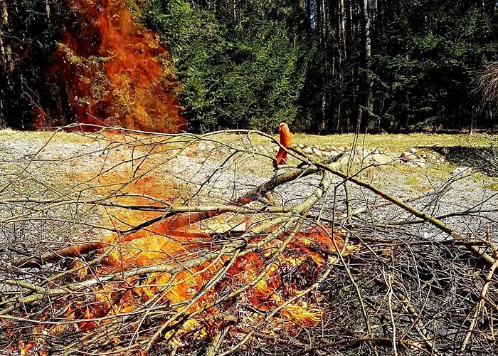 Dom Nad Stawem - Alex